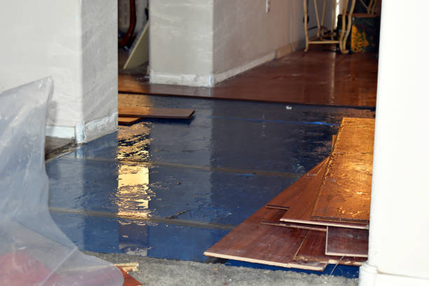 Professional Water Damage Restoration technician working in Black Mountain, NC
